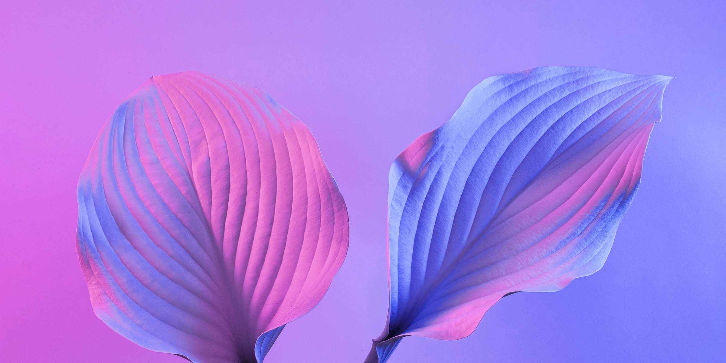 A trending plant species in cyberspace with the technology and innovation of the future. Fluorescent light of futuristic leaves.